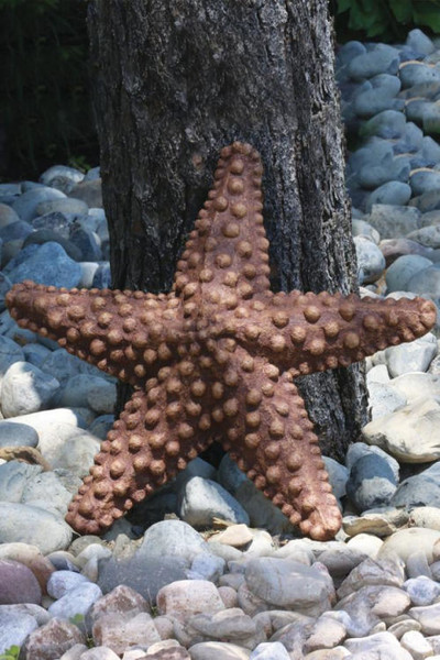 The Star of the Sea Starfish Garden Sculpture Beach Front Decorating